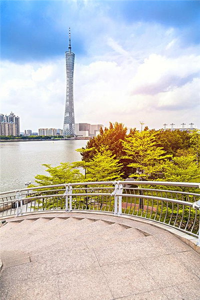 深圳95场部长微信：探索交流创新的平台